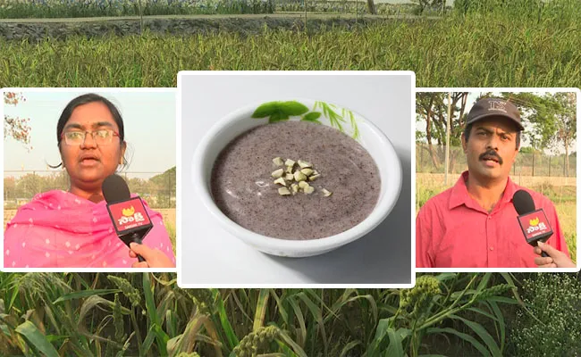 Sakshi Special Video On Ragi Java Health Benefits