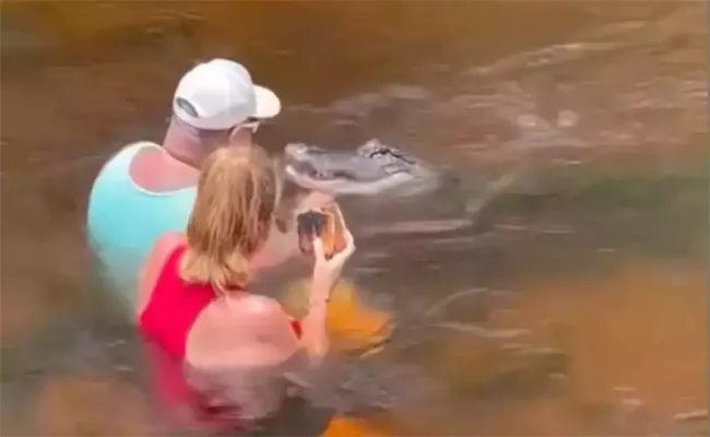 Florida Man Hand Feeds Alligator Goes Viral On Social Media - Sakshi