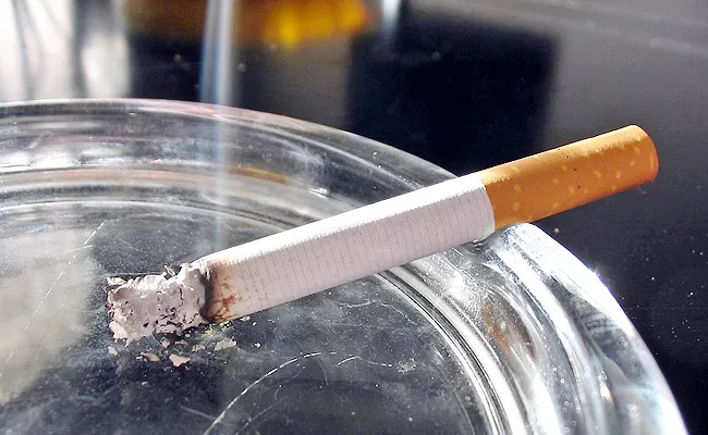 Japanese Civil Servant Fined Over 11,000 Dollars For Taking Smoke Breaks 4,512 Times In 14 Years - Sakshi