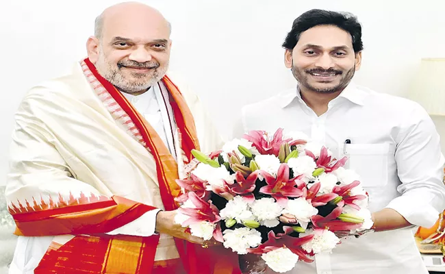 CM YS Jagan Meeting With Amit Shah At Delhi - Sakshi