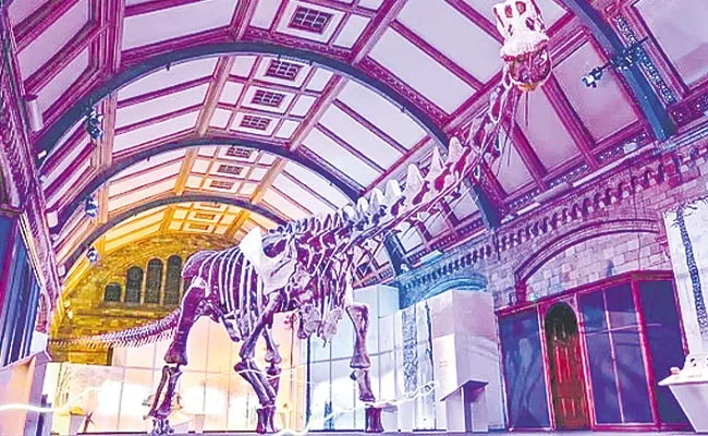 Titanosaur skeleton on display at London's Natural History Museum - Sakshi