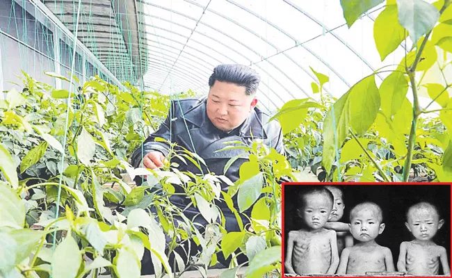 North Korea Suffers One of Its Worst Food Shortages in Decades - Sakshi