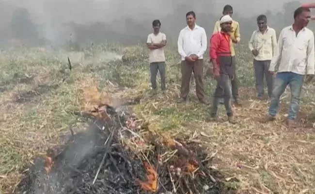 Angry Farmer Burns Onion Crop Invites Eknath Shinde Write Blood - Sakshi