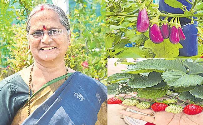 Guntur Krishnakumari Terrace Garden Inspirational Journey - Sakshi