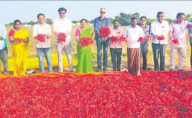 A Man In Palnadu District Changes His Fate With Cultivation - Sakshi