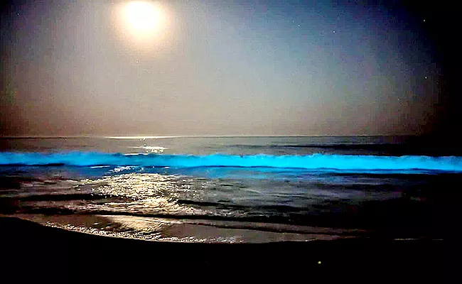 Bhimili beach which glows blue at night - Sakshi