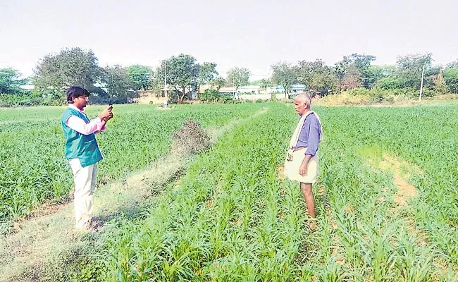 CCRC cards to 17.61 lakh tenant farmers in 46 months - Sakshi