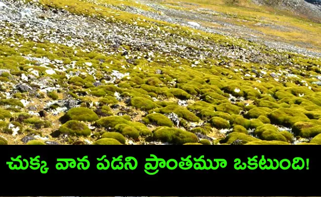 20 million years of rain on Earth  - Sakshi