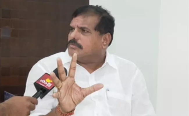 Botsa Satyanarayana Serious Comments On Harish Rao - Sakshi