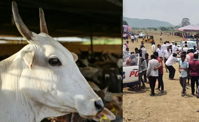 Food Poison For Cattles Near Chimalapadu Incident Place - Sakshi