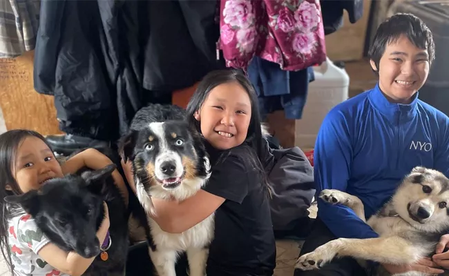 US Alaska Shepherd Dog Reach Home After Travelling 150 Miles - Sakshi