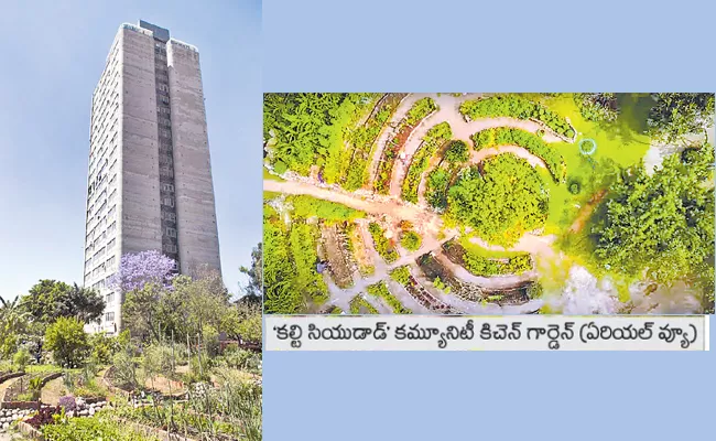 Mexico City Vertical Garden Filled With Greenery - Sakshi