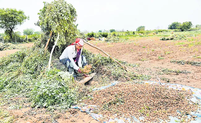 Meteorological Department Temperatures rise In Telangana - Sakshi