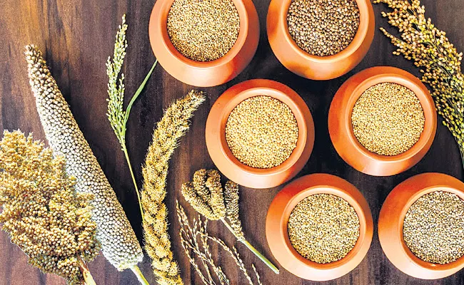 Determination of Millets Cultivation Area Targets District wise - Sakshi