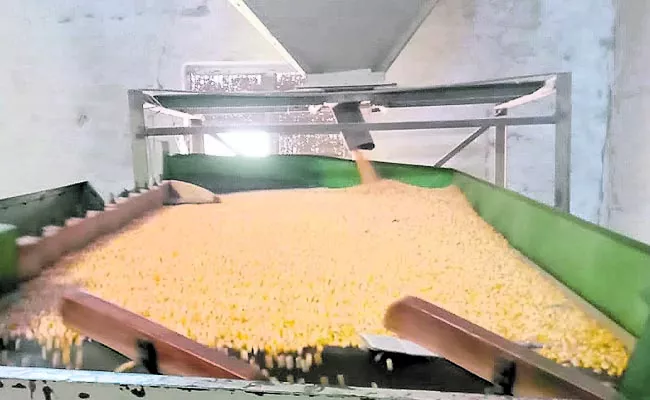 Export of seeds worth Rs 500 crores from Kurnool - Sakshi