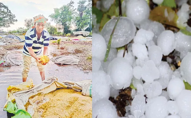 Rains and hail damaged crops in lakhs of acres - Sakshi