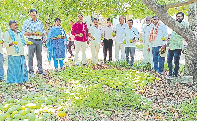 Unexpected damage due to untimely rains and hailstorms - Sakshi