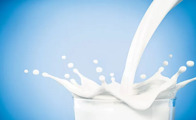 Milk production in the country is expected to increase by 6 percent per year - Sakshi