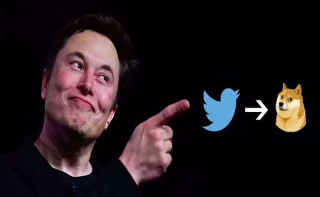 ClassicTwitter bluebird to Doge icon changes Elon Musk netizens meme fest - Sakshi