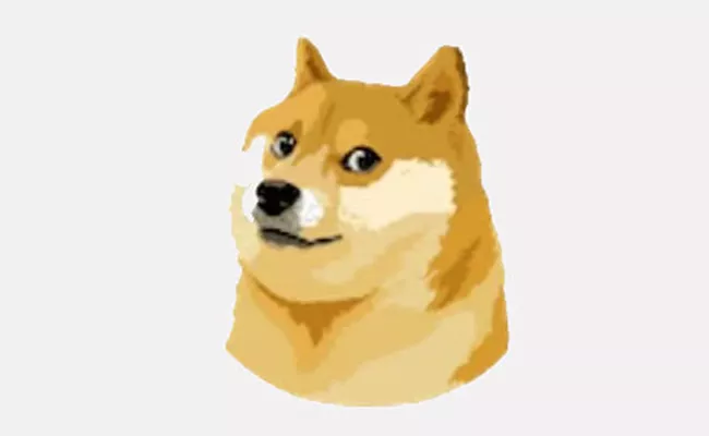 Doge in bird out Elon Musk replaces Twitter logo - Sakshi