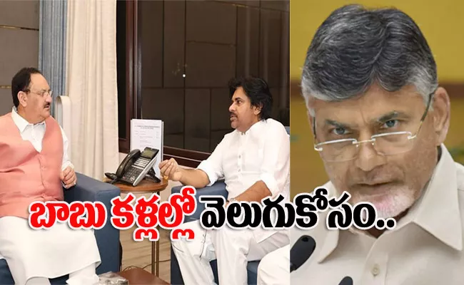 Pawan Kalyan Delhi Visit KSR Analytical Counter TDP Janasena Alliance - Sakshi