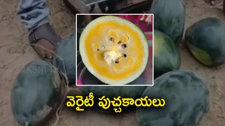 High Demand To Yellow Watermelon At Konaseema District