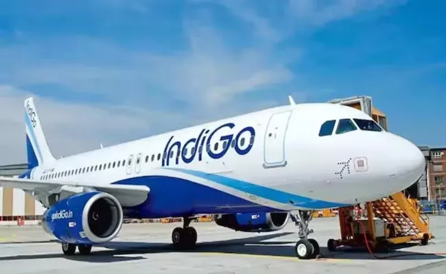 Drunk Passenger Tries To Open Emergency Door Flap On IndiGo Flight To Bengaluru - Sakshi