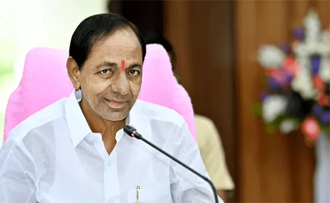 Cm KCR May Day Gift: Sanitation Workers Salaries Hike - Sakshi