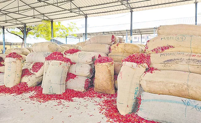 History made Teja variety of stored chillies - Sakshi