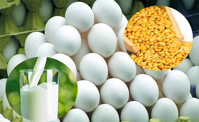 Milk Eggs Pulses Tenders Finalisation - Sakshi