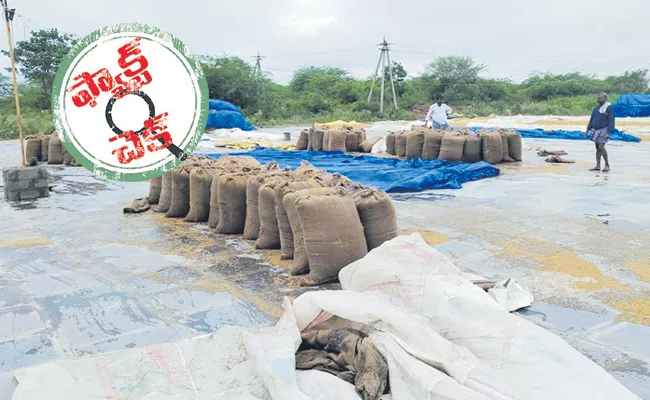 Fact check: Eenadu Fake News On Crop Loss Compensation - Sakshi