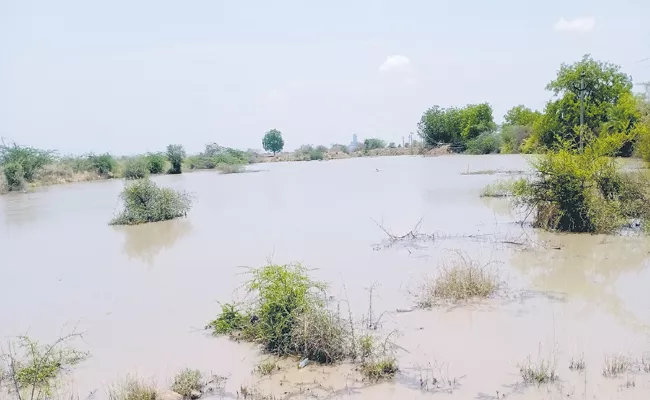 Heavy Rains In All Over Andhra Pradesh - Sakshi