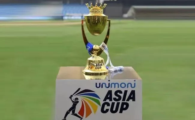 Asia Cup Fate Likely To-Be Decided-May 28 On IPL 2023 Final Ahmedabad - Sakshi