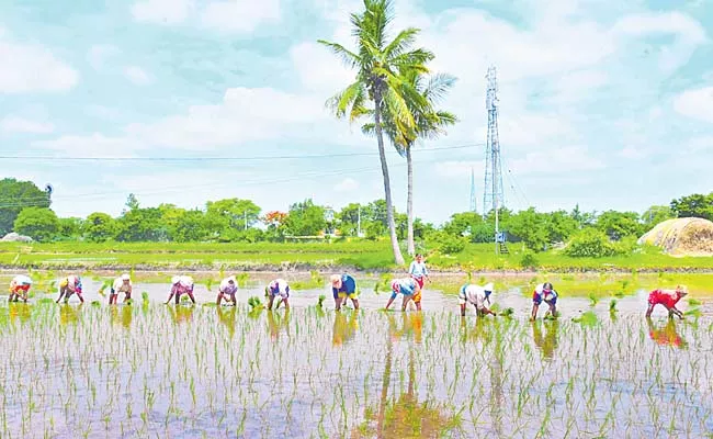 Cultivation of crops in one and a half million acres - Sakshi