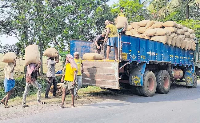 The government is also buying contaminated grain - Sakshi