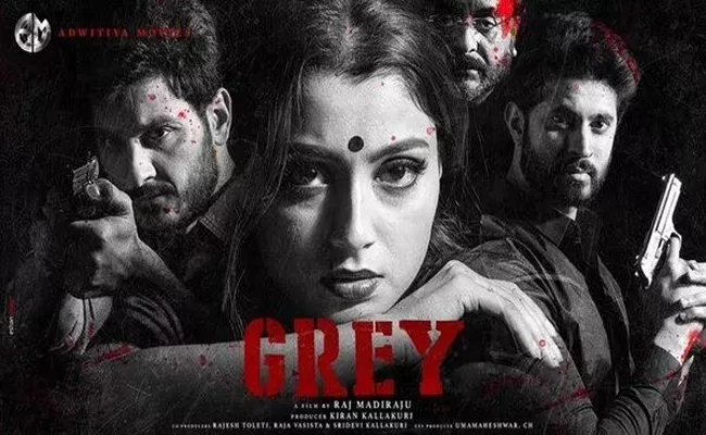 Grey Movie Review And Rating In Telugu - Sakshi