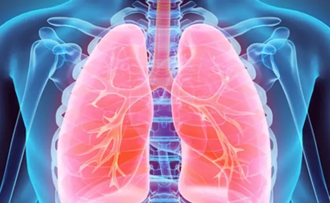 What Is Lung Fibrosis Causes Symptoms Diagnosis Treatment - Sakshi