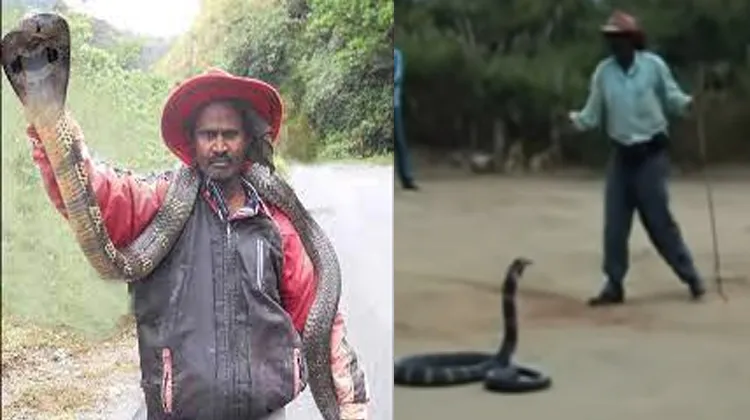 Snake Naresh Kumar Dies After Snake Bite In Karnataka 