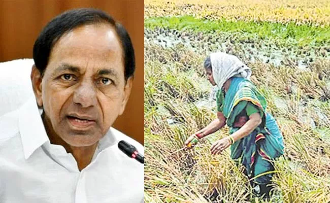 CM KCR advises to get rid of crop loss due to untimely rains - Sakshi