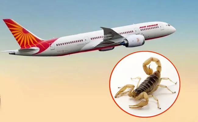 Scorpion bites woman passenger onboard Air India flight - Sakshi