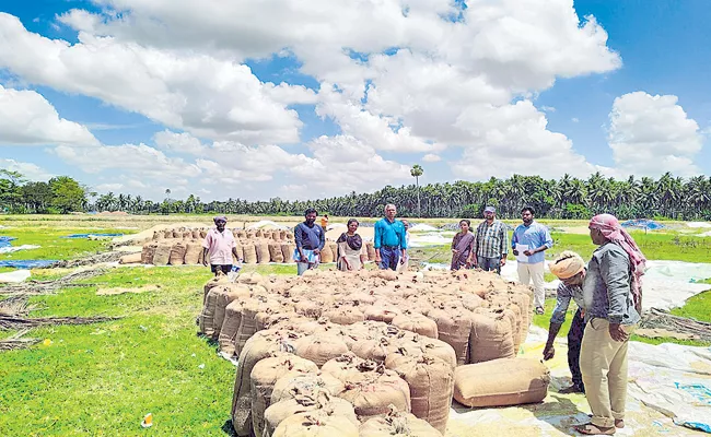 AP CM YS Jagan Immediate action About Paddy Procurement - Sakshi