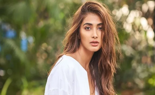 Pooja Hegde To Romance With Shadid Kapoor - Sakshi