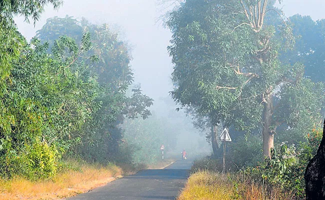 Green flag for Paderu Lambasingi road - Sakshi