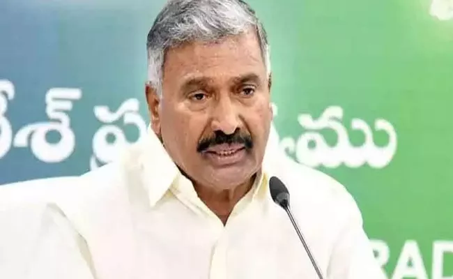 Minister Peddireddy Ramachandra Reddy Says Development Of Zoo Parks To Attract Tourists - Sakshi