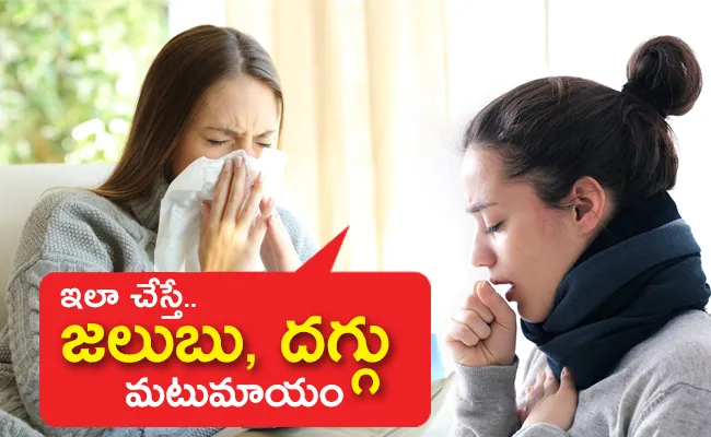 Natural Remedies To Reduce Cold And Cough - Sakshi