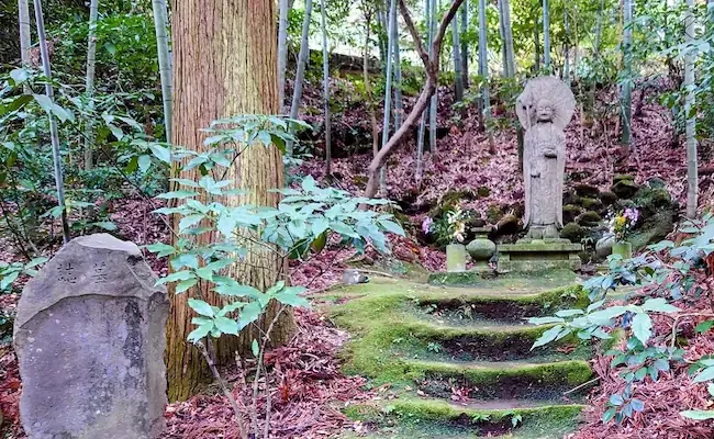 japan weird 600 year old divorce temple - Sakshi