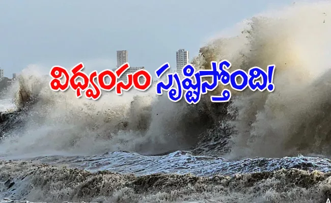 Cyclone Biparjoy: Rajasthan Recieve More Rainfall - Sakshi