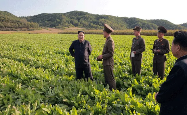 Millions go hungry amid food crisis in North Korea - Sakshi