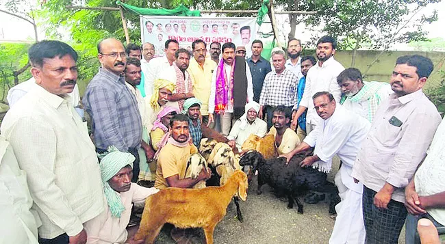 లబ్ధిదారులకు గొర్రెలను పంపిణీ చేస్తున్న ఎమ్మెల్యే నరేందర్‌రెడ్డి  - Sakshi