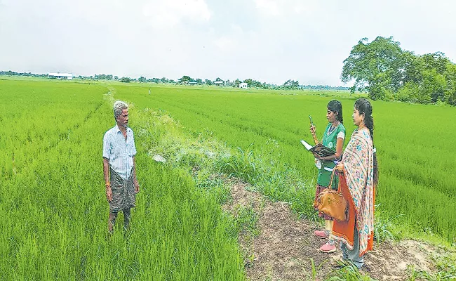 Eenadu Ramoji Rao Fake News On Andhra pradesh Govt Crop Insurance - Sakshi